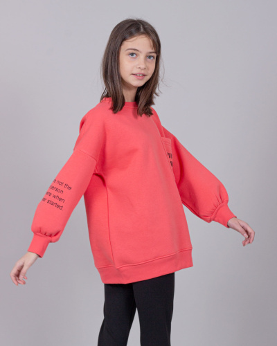 DMB KIDS 9467 Свитшот утепленный DMB KIDS 9467 Свитшот утепленный фото