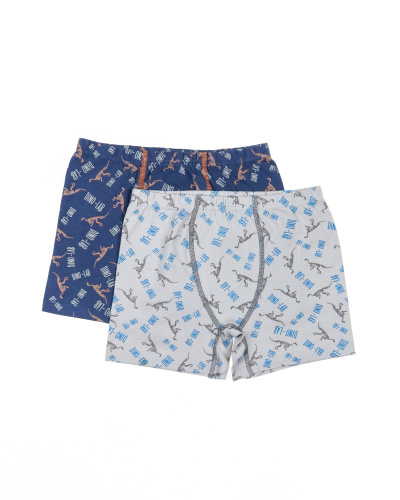 BAYKAR Боксеры 3584 фото